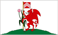 Cardiff Flags